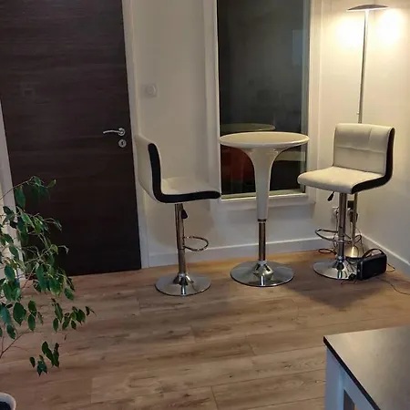 Clos Saint Jacques Apartament Thann