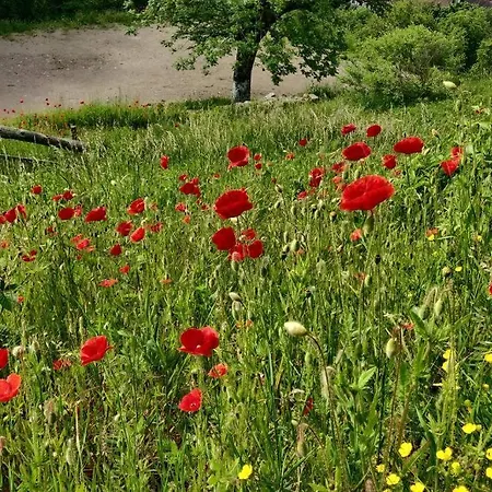 Clos Saint Jacques Apartament *